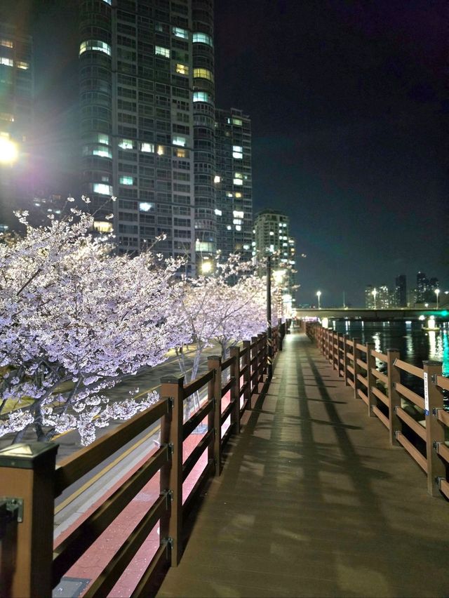 쾌적하고 더예뻐진 광안대교뷰 민락수변공원💚