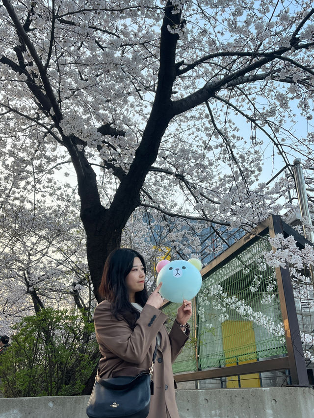 봄에 산책하기 딱 좋은 여의도 한강공원~벚꽃길 🌸