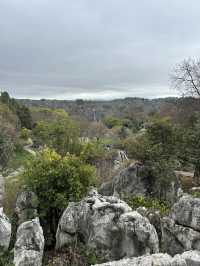 Shilin amazing stone forest