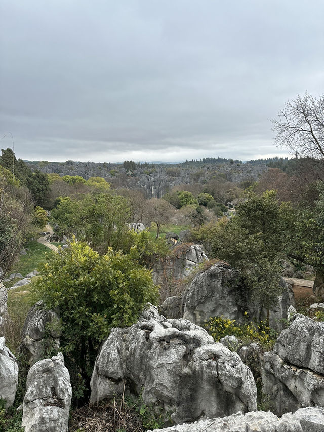 Shilin amazing stone forest