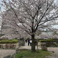 Kema Sakuranomiya Park, Osaka