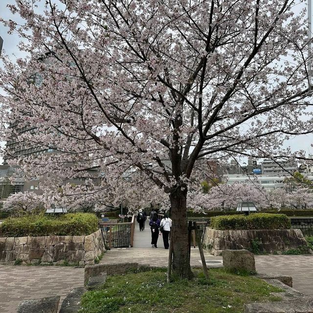 Kema Sakuranomiya Park, Osaka