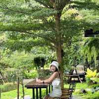 nto the Forest 