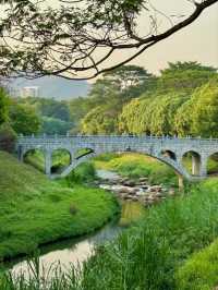 Shenzhen Central Park– The City’s Green Lung
