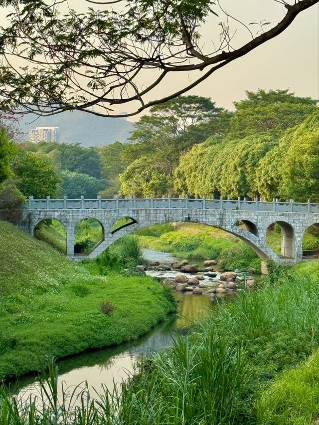 Shenzhen Central Park– The City’s Green Lung