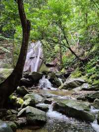 키나발루 산 폭포 : Kipungit Waterfall🇲🇾