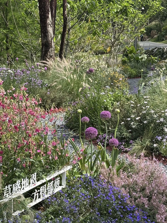 Where Nature Meets the City: Exploring Guangzhou’s Yunluo Botanical Garden