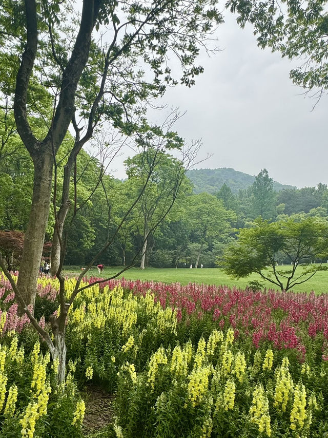 Snapdragons & Serenity: Spring Stroll in Taiziwan Park