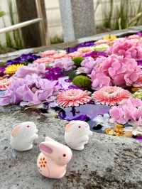 Springtime Charm at Kozan-ji Temple