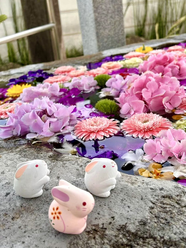 Springtime Charm at Kozan-ji Temple