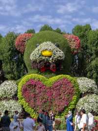 Dubai Miracle Garden