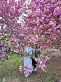 강력추천하는 4월의 경주여행코스🌸
