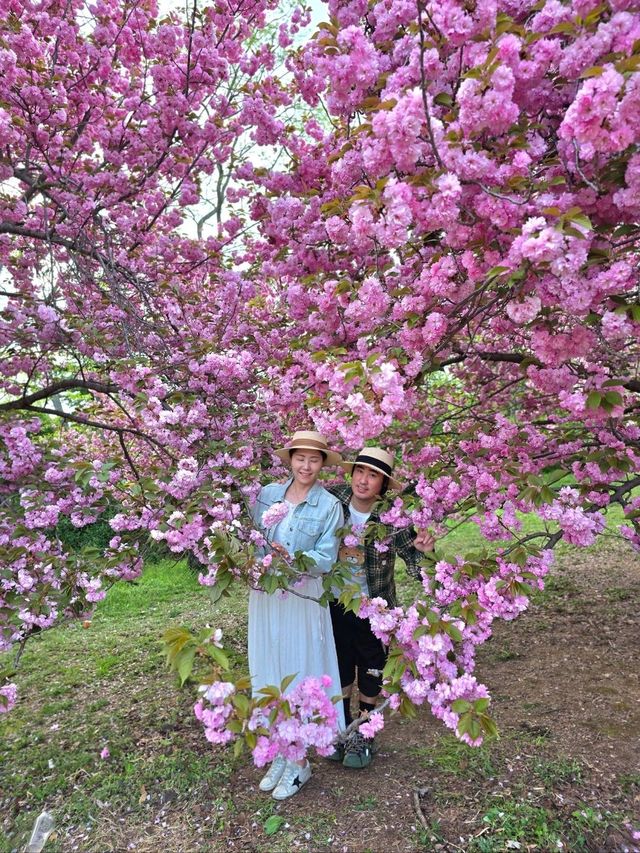 강력추천하는 4월의 경주여행코스🌸