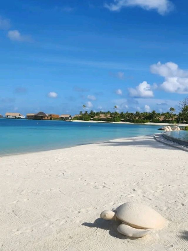 Waldorf Astoria Maldives Ithaafushi