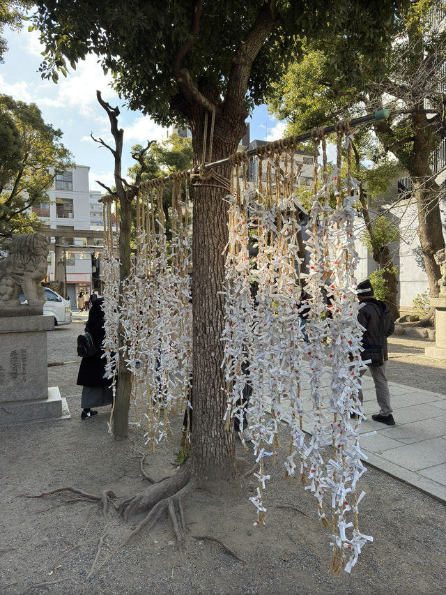 大阪｜木津市場、大國主神社與八阪神社一日遊