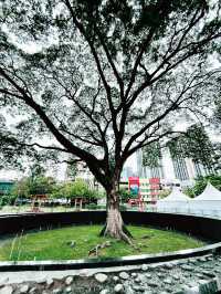 “TRX Park: Where Sustainability Meets Serenity”