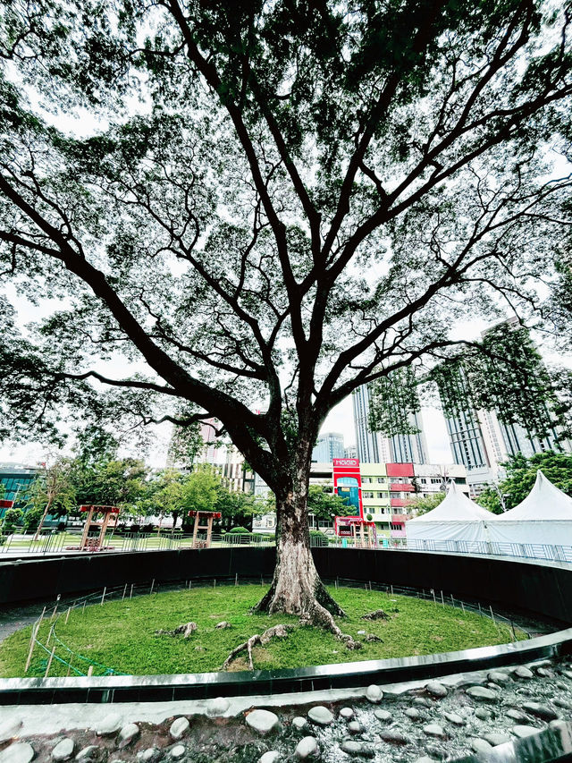“TRX Park: Where Sustainability Meets Serenity”