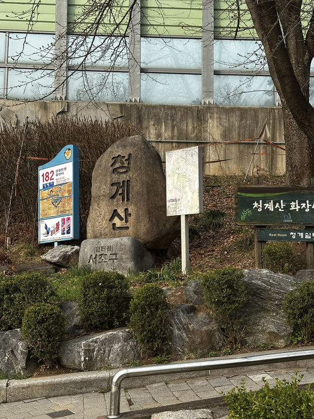 🥾청계산 등산 후기 🥾