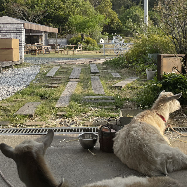 【静岡】おすすめ観光スポット