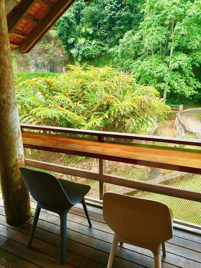 A Serene Forest Café with Pasta That Hits the Spot