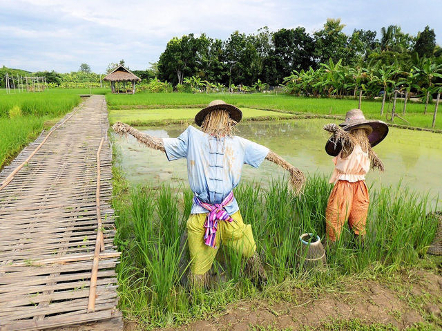 Exploring Bentong Ginger Farm: Pahang’s Spicy Agri-Tourism Gem