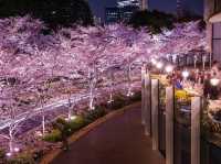 🌟 City Lights & Sakura Dreams: Spring Chillin’ at Midtown Garden! 🌸✨