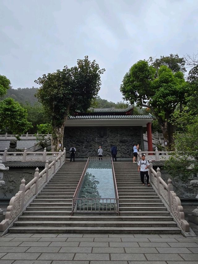 🌿 肇慶鼎湖山：綠色逃亡秘境！🌄