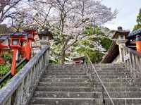 🌿 Kurama-dera: Kyoto’s Mountain Temple of Spirits & Fire 🌿