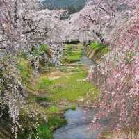 花の波が押し寄せるような景色