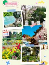 Wonye Arts Village: A Horticultural Haven 