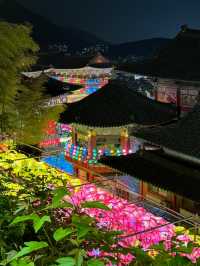 연등들이 밤하늘을 수놓는 삼광사 연등축제🏮