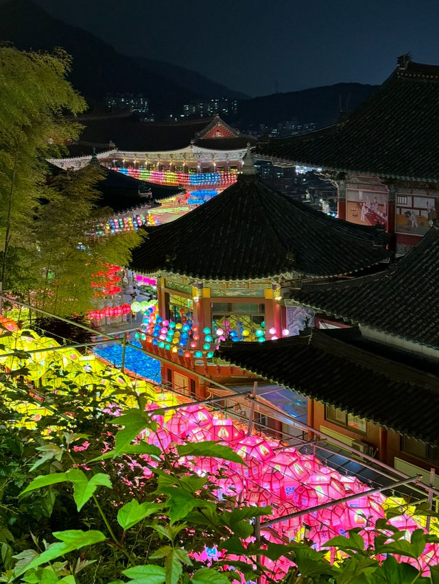연등들이 밤하늘을 수놓는 삼광사 연등축제🏮