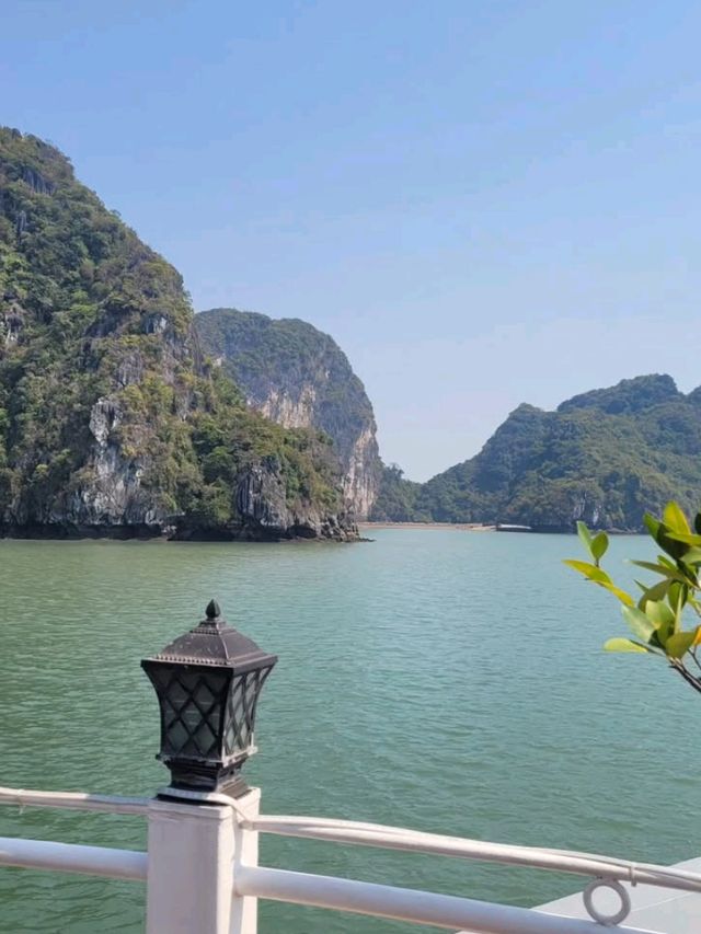 🚣‍♂️🌿 Into the Wild: My Adventure Cruise in Halong Bay! 🌿🚣‍♂️