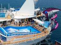 "Harmony of the Seas: 3 Wild Days, Zero Regrets" 🌊🎢🍹