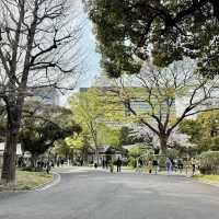 八幡屋公園｜環境優美綠化空間