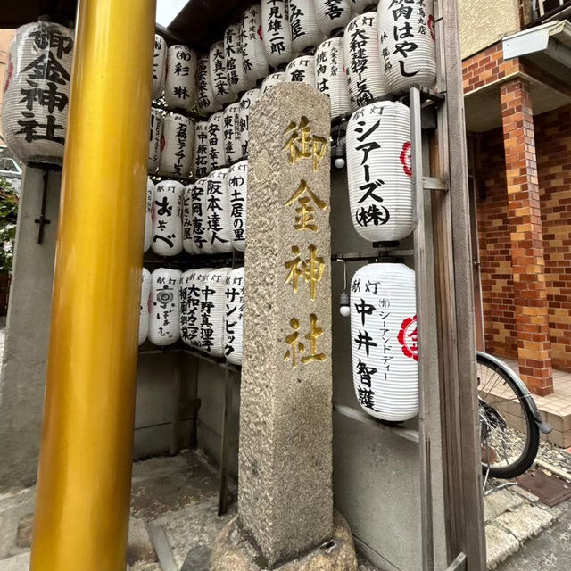 🇯🇵 【京都】金色の鳥居✨御金神社⛩️