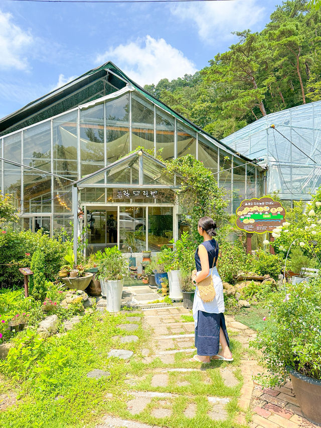 순창 카페 올레오 족욕체험