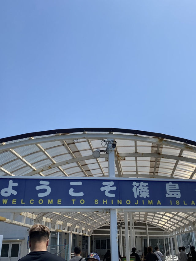 篠島で自然と海を満喫！