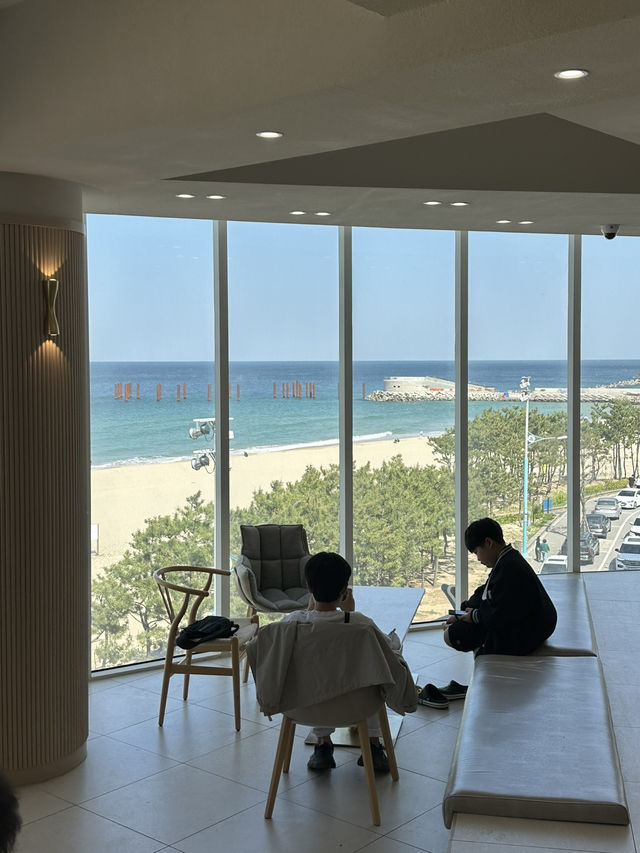 반짝반짝 빛나는 아름다운 삼척해변을 보며 🌅빵과 커피를 즐길 수 있는 삼척 카페여행가이드