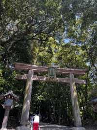 神様に“山そのもの”を祀るという、ちょっと異次元な神社🇯🇵✈️🌎