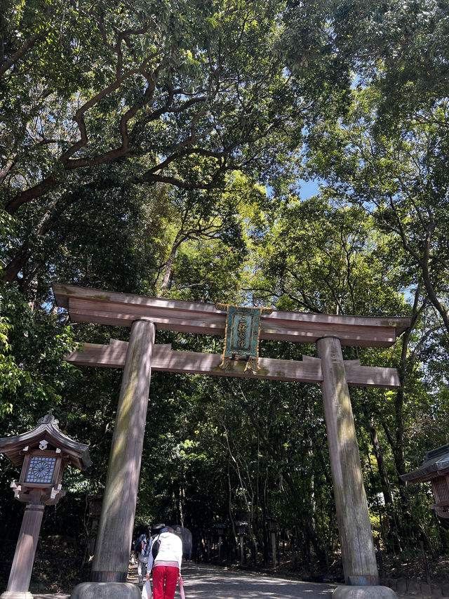 神様に“山そのもの”を祀るという、ちょっと異次元な神社🇯🇵✈️🌎