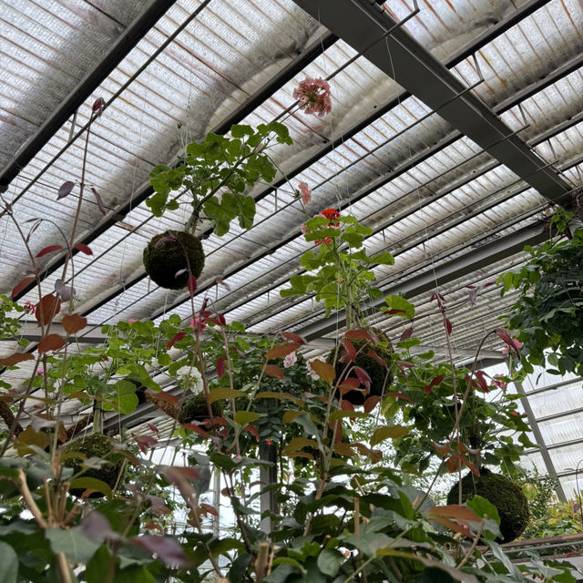 Botanical Beauty at Rumah Atsiri