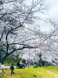 Flower Wonderland