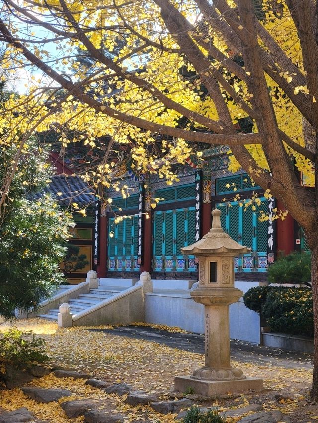 출렁다리 사진스팟과 오래된 은행나무가 유명한 반야암