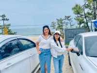 Golden Sands & Muddy Fun – Discover Daecheon Beach