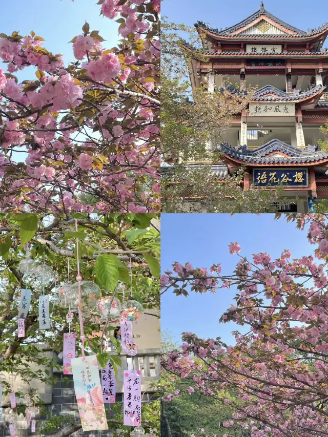 Wuxi 2-Day Spring Getaway | Hidden Gems in Jiangnan 🌸