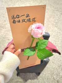 A SWEET FLORAL SURPRISE AT KUNMING INTERNATIONAL AIRPORT