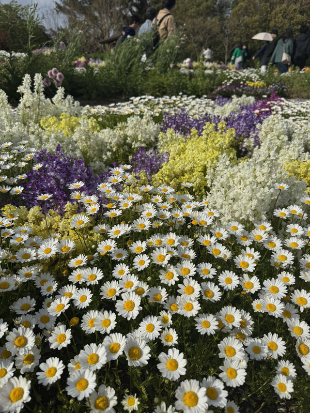 【福岡】🌻海の中道海浜公園🌷