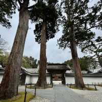 絶対に行って欲しい仙台3日間の旅行体験！