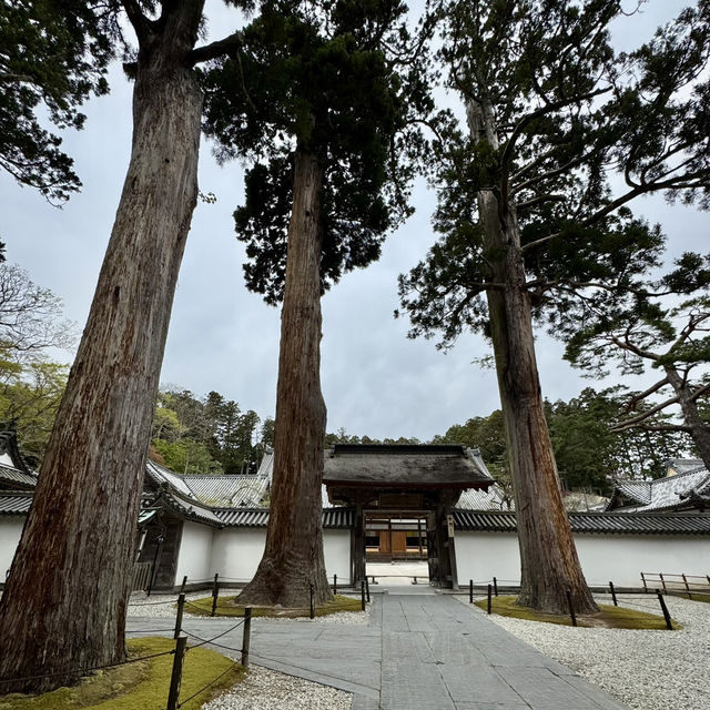 絶対に行って欲しい仙台3日間の旅行体験！